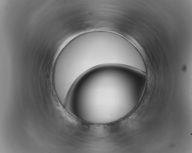 X0000089720956200706210851