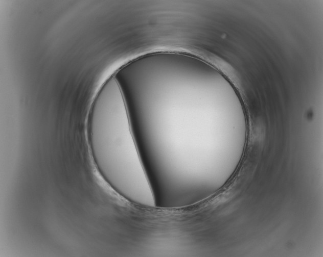 X0000089720958200706210851