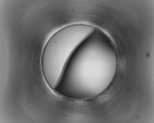 X0000089720959200706210851