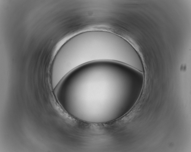 X0000089720960200706210851