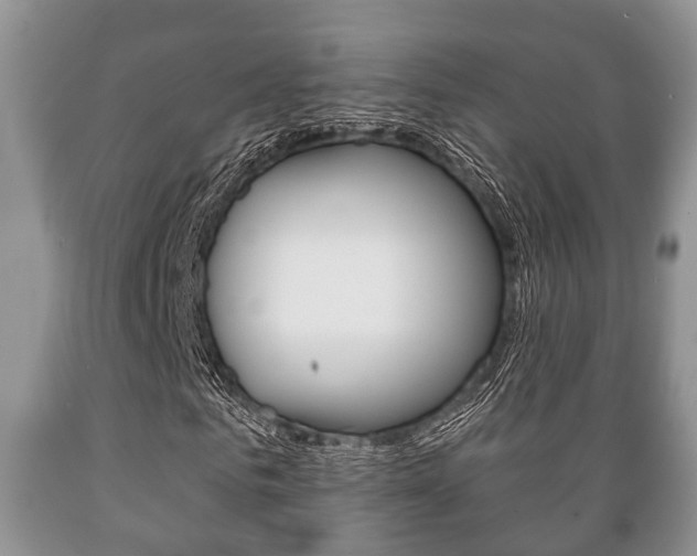 X0000089720961200706210850