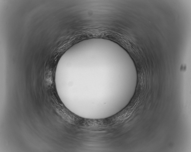 X0000089720962200706210850