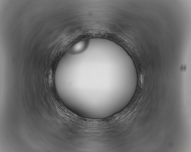 X0000089720963200706210850