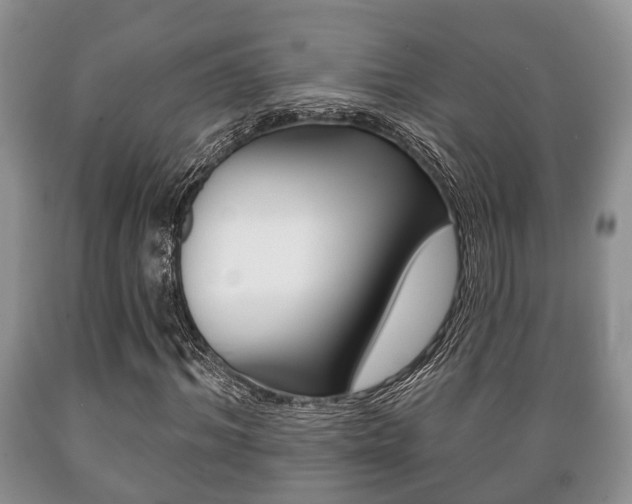 X0000089720964200706210850