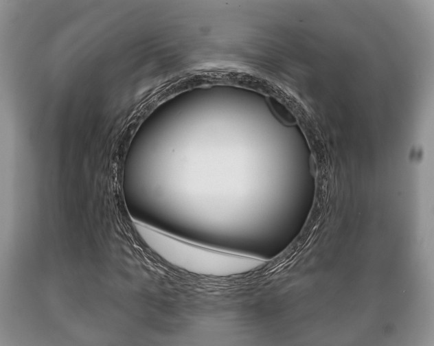 X0000089720965200706210850