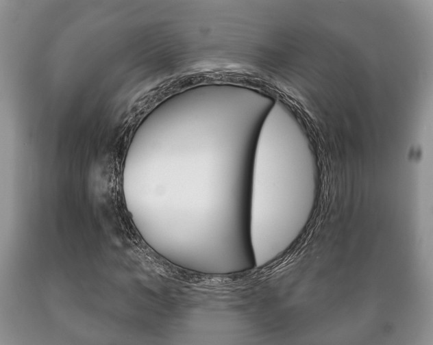 X0000089720966200706210850