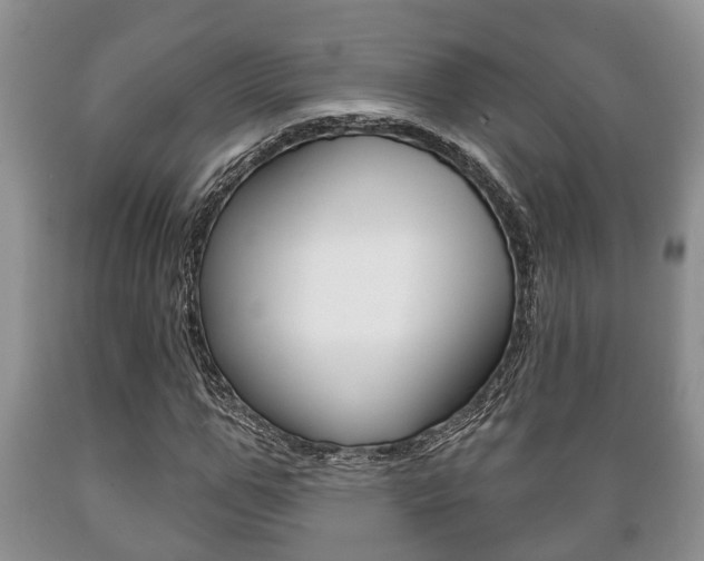 X0000089720967200706210850