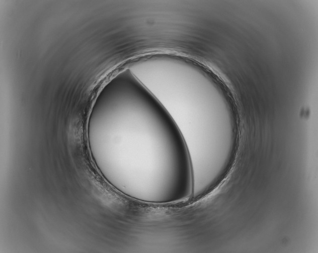 X0000089720969200706210850