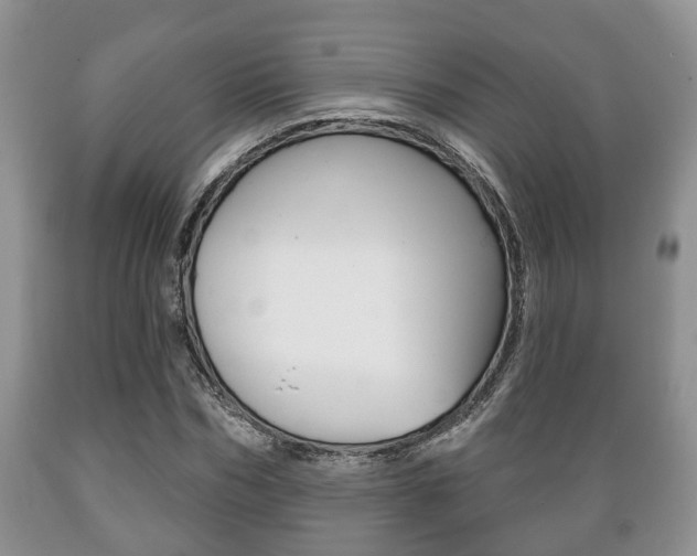 X0000089720970200706210850