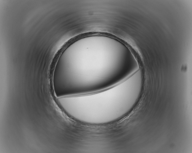 X0000089720972200706210850
