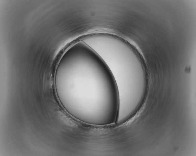 X0000089720973200706210850
