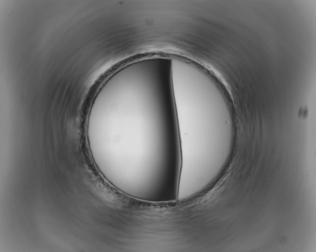 X0000089720975200706210850