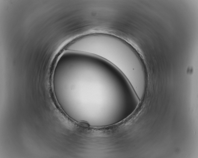 X0000089720976200706210850