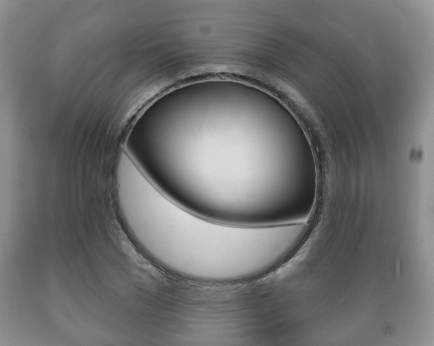 X0000089720977200706210850