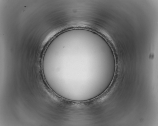X0000089720978200706210850