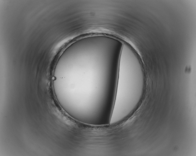 X0000089720979200706210850