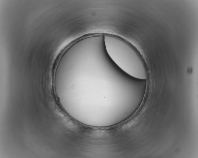 X0000089720982200706210850