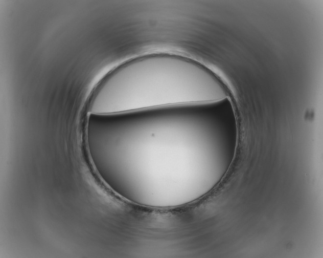 X0000089720983200706210850