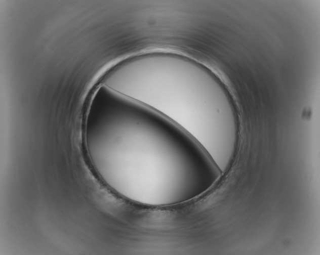 X0000089720984200706210850