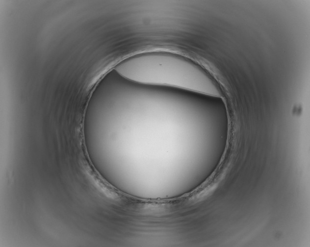 X0000089720985200706210850