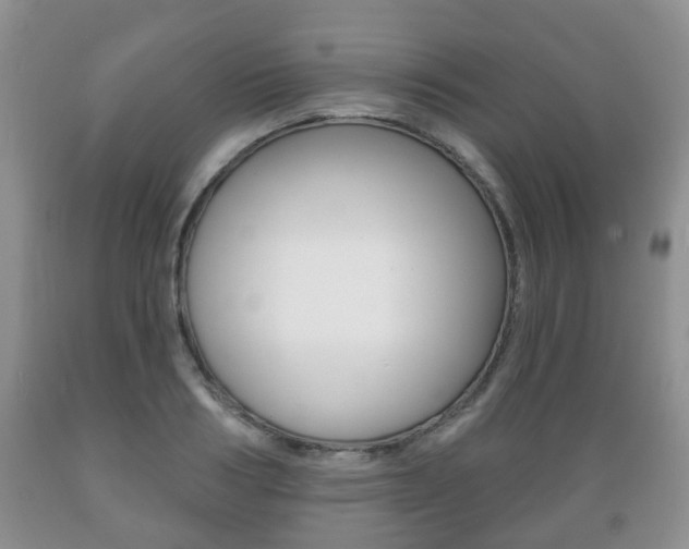 X0000089720986200706210850