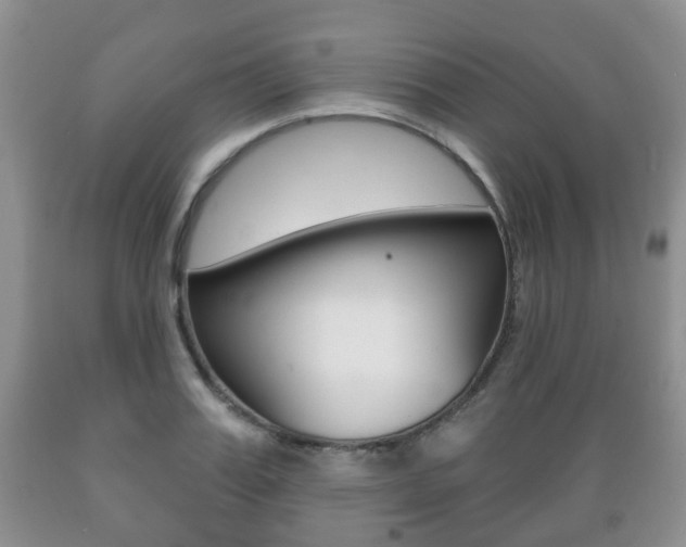 X0000089720987200706210850