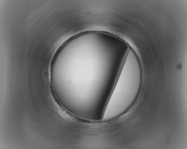 X0000089720988200706210850