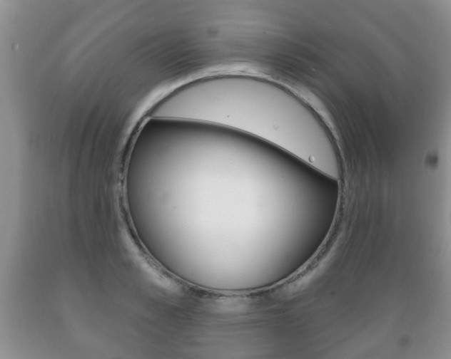 X0000089720989200706210850