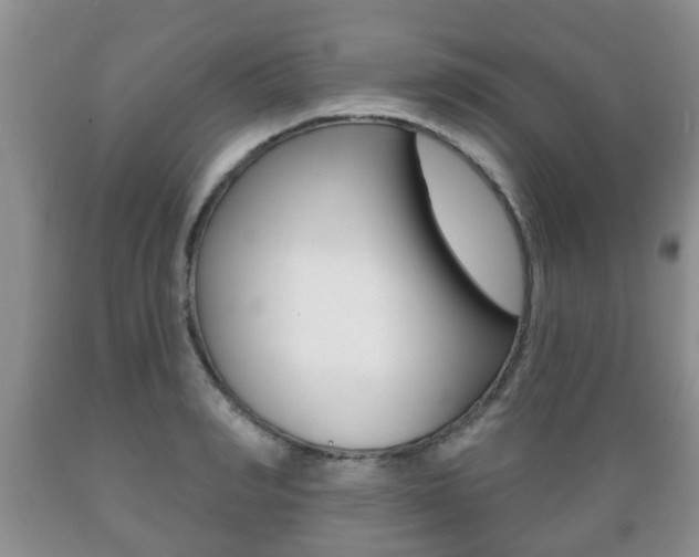 X0000089720990200706210850