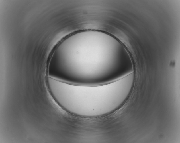 X0000089720992200706210849
