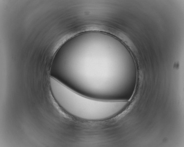 X0000089720993200706210849