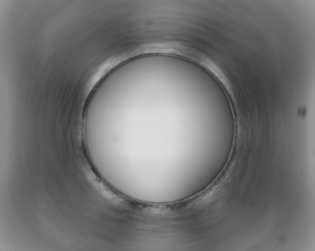 X0000089720994200706210849