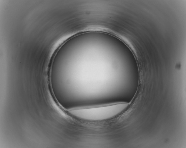 X0000089720995200706210849