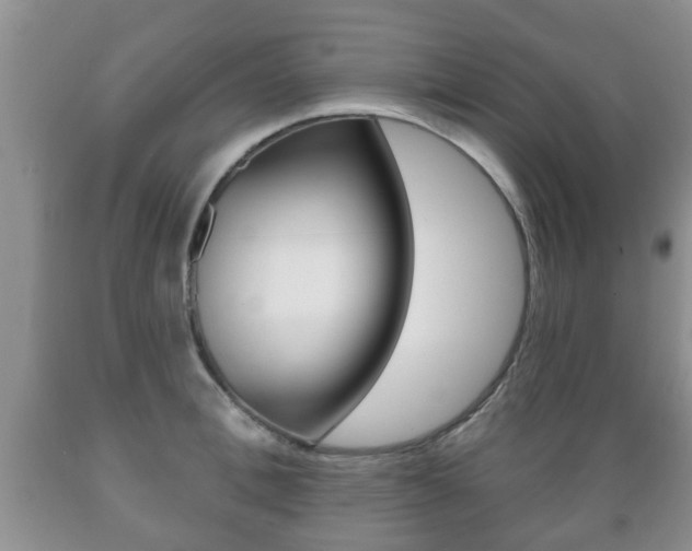 X0000089720996200706210849