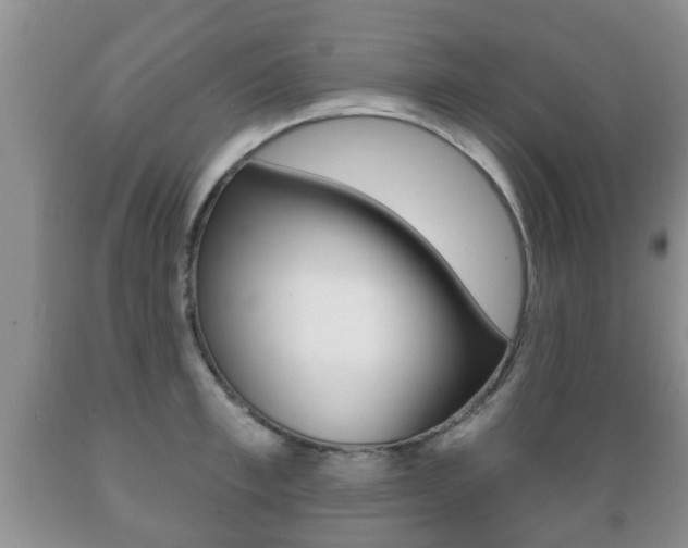 X0000089720997200706210849