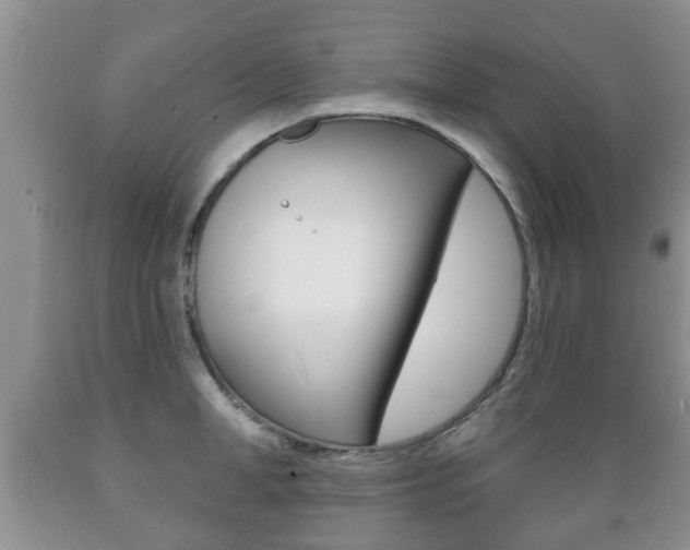 X0000089720998200706210849