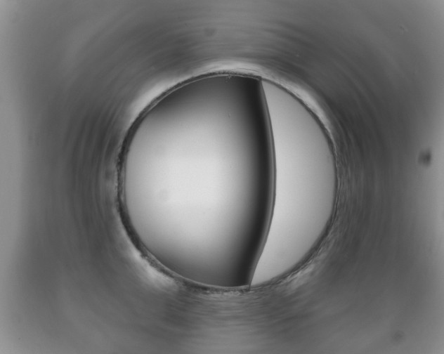 X0000089720999200706210849