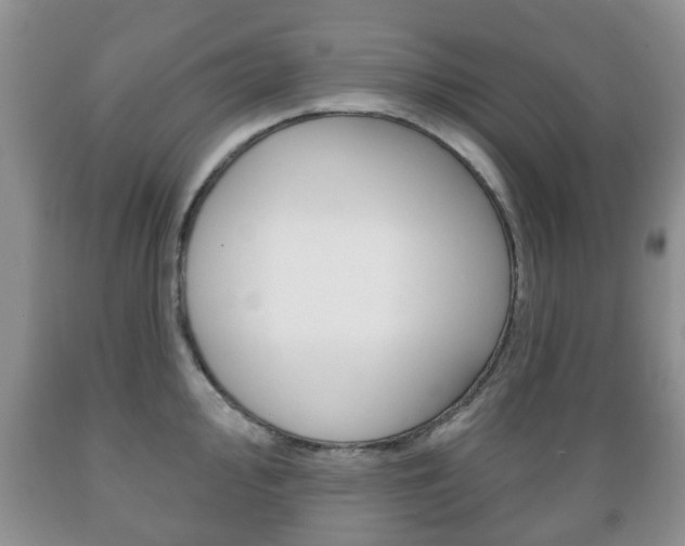 X0000089721000200706210849
