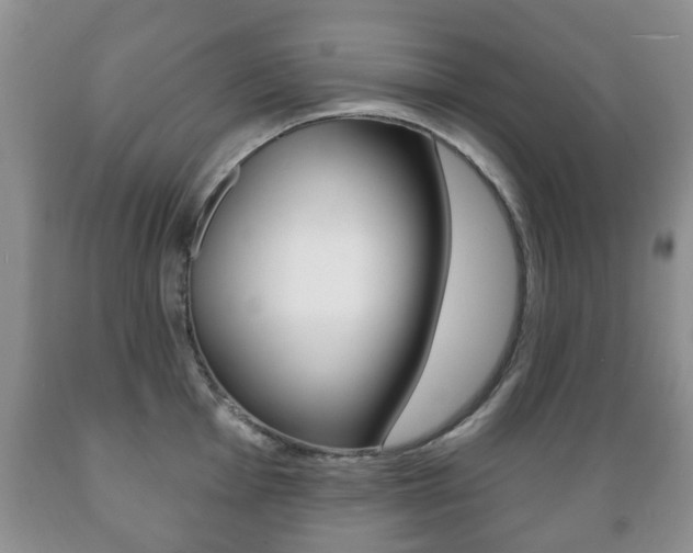 X0000089721001200706210849