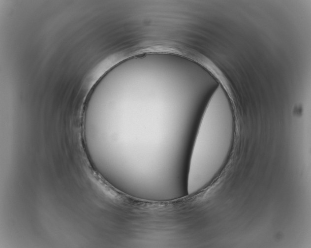 X0000089721002200706210849