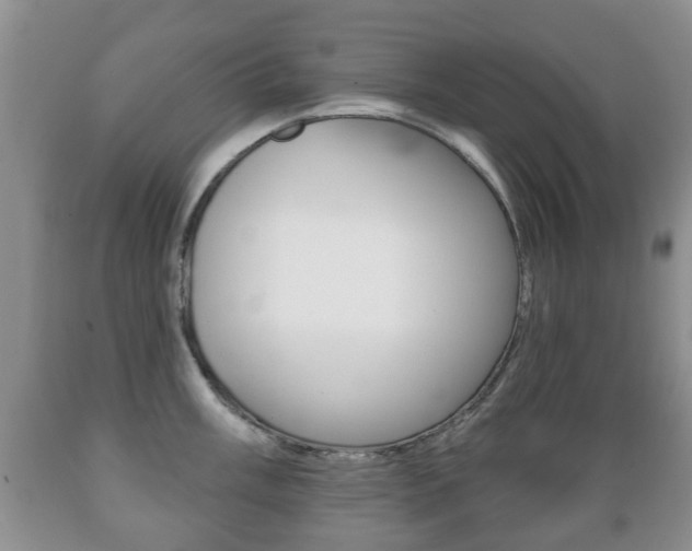 X0000089721003200706210849