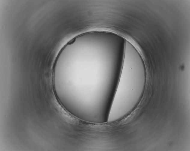 X0000089721004200706210849