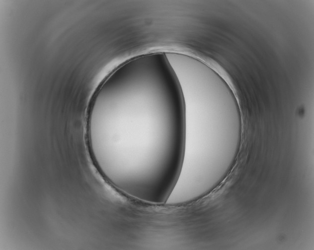 X0000089721005200706210849