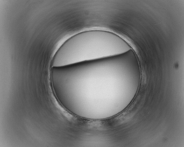 X0000089721006200706210849