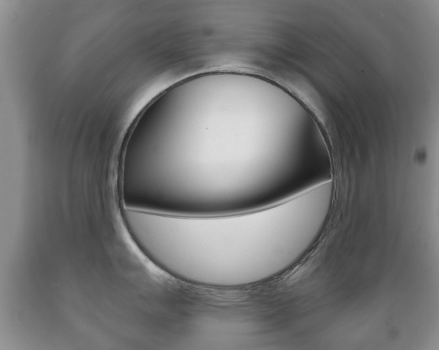 X0000089721007200706210849