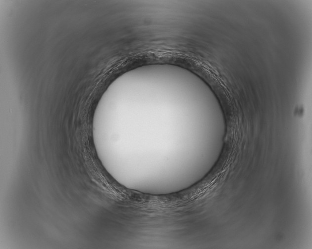X0000089721009200706210849