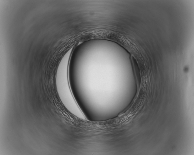 X0000089721010200706210849