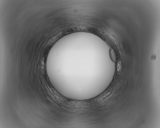 X0000089721011200706210849