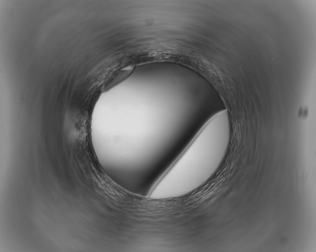 X0000089721012200706210849