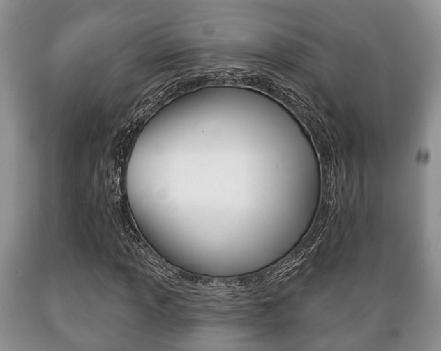 X0000089721013200706210849